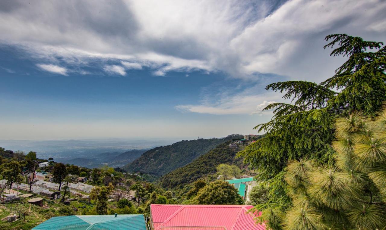 Treebo Trend Roshan House Mcleodganj McLeod Ganj Eksteriør billede